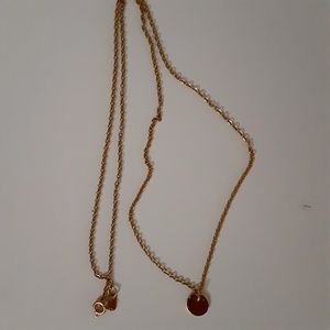 Gold coin with a 20 inch stainless steel chain